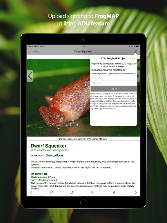 Frogs of Southern Africa iPad screenshot 5 - Reference app