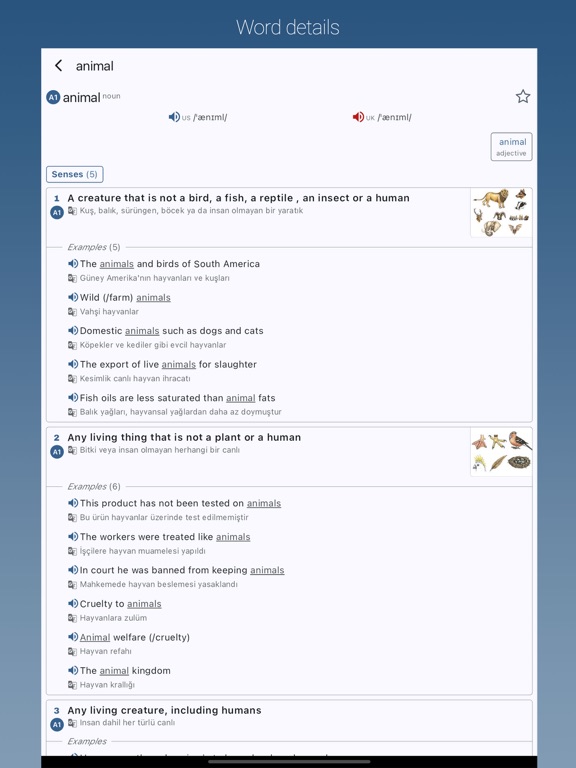 English-Turkish Dictionary Pro