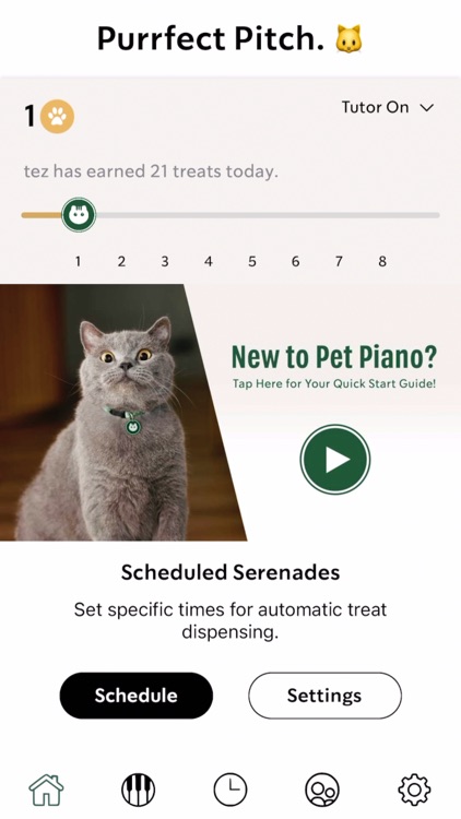 Pet Piano screenshot-3
