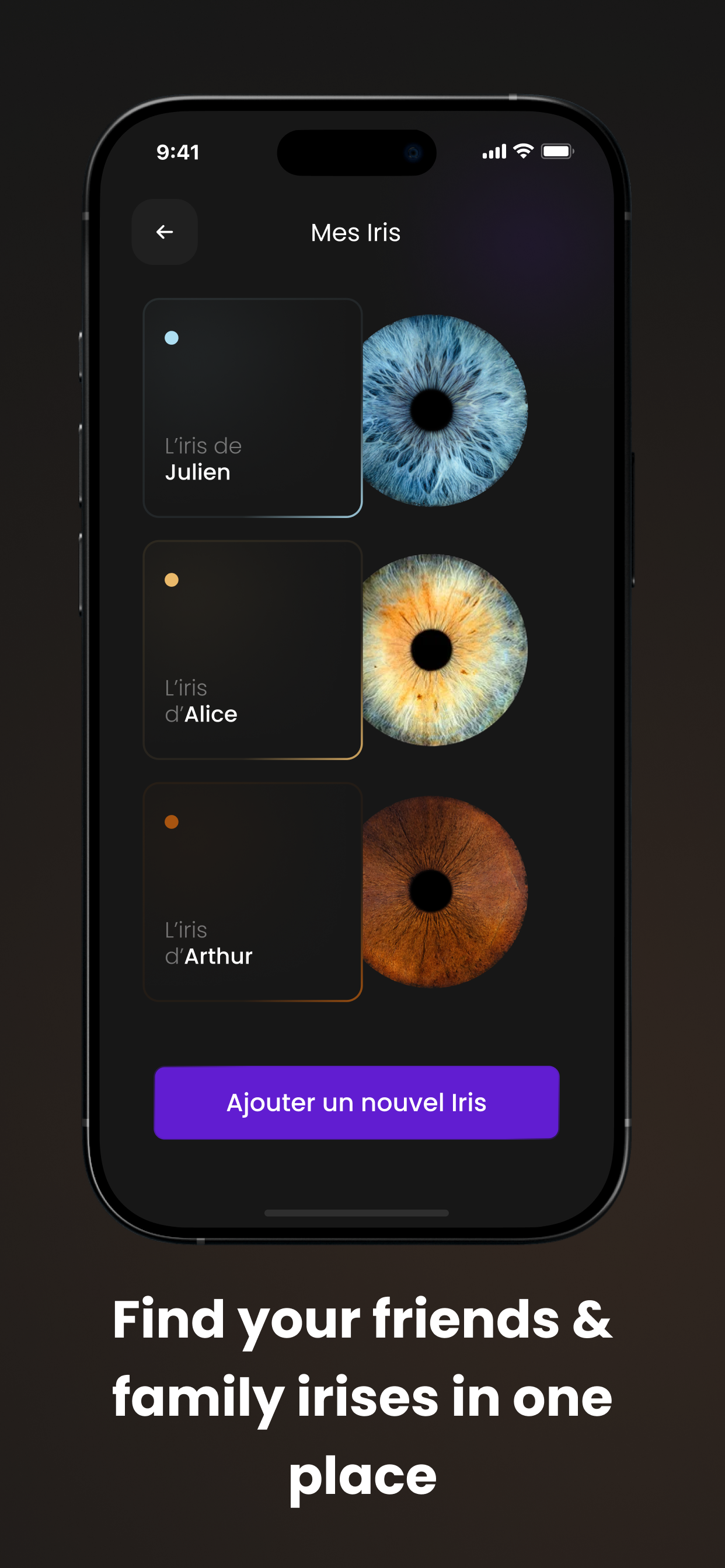 Iris Galerie screenshot 3