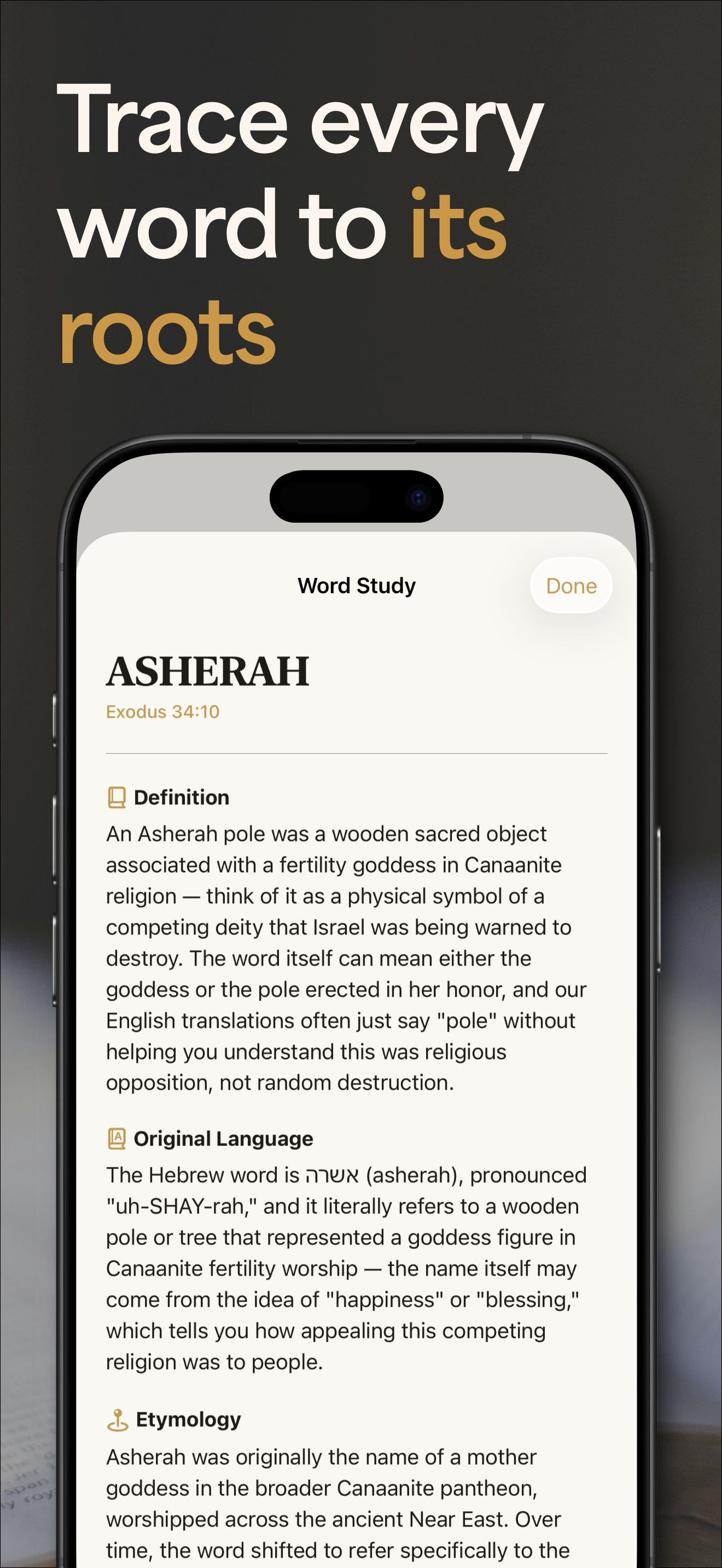 BibleKey: Smart Bible App screenshot 8