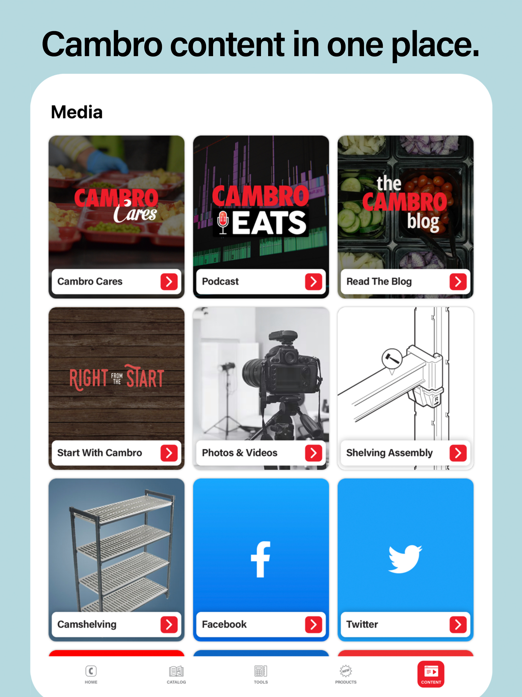 Cambro screenshot 8