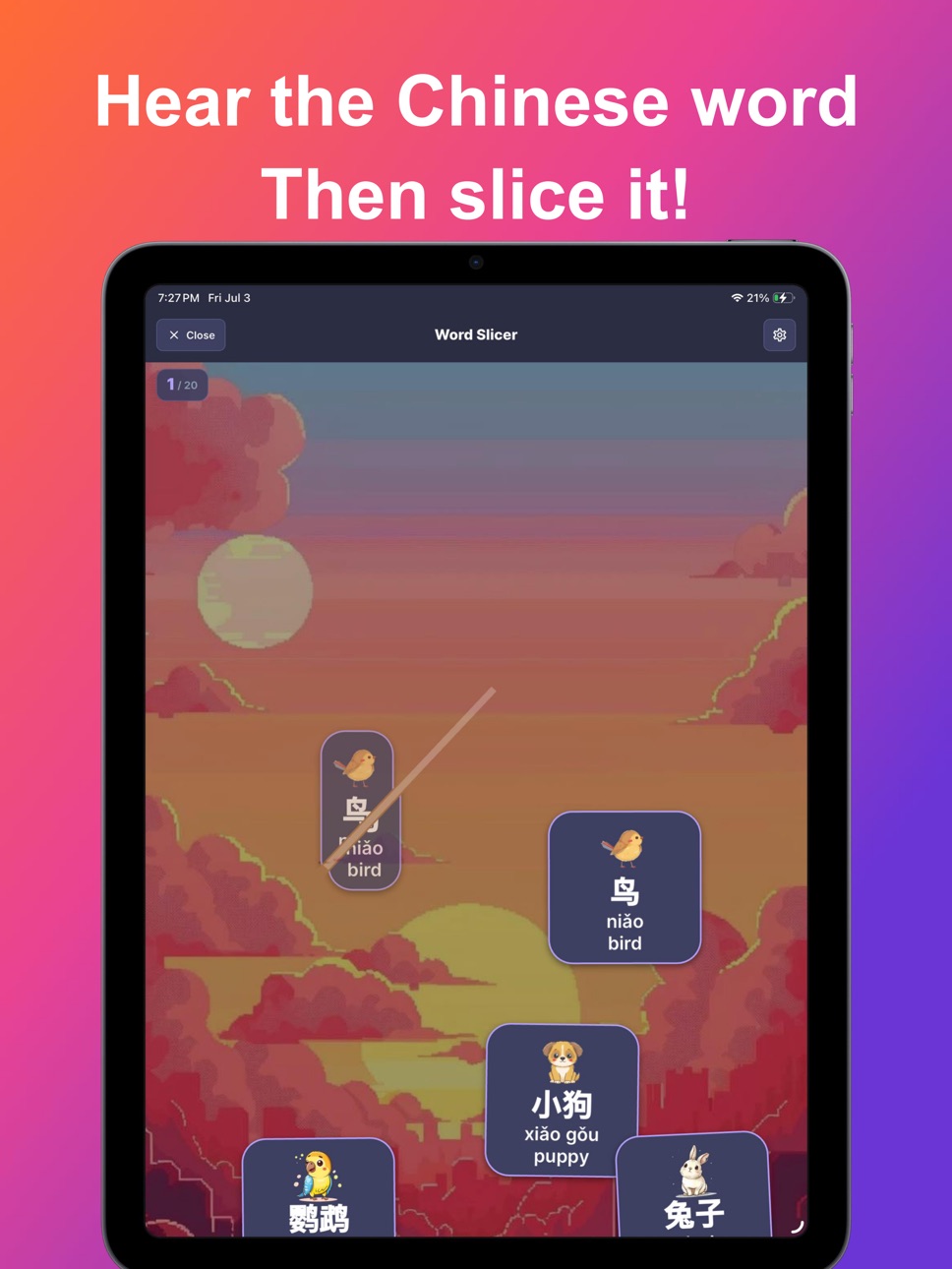 iPad screenshot