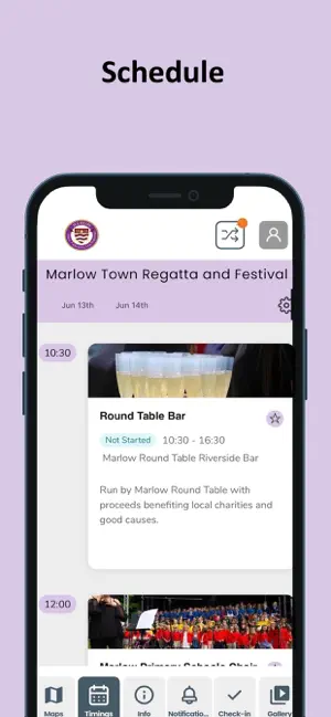 Marlow Town Regatta screenshot 1