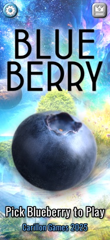 Blue Berry Puzzle Screenshot 8 of 8