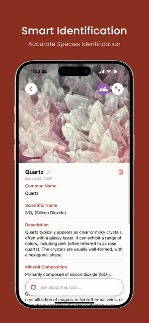 Rock Identifier: Rock ID screenshot 2