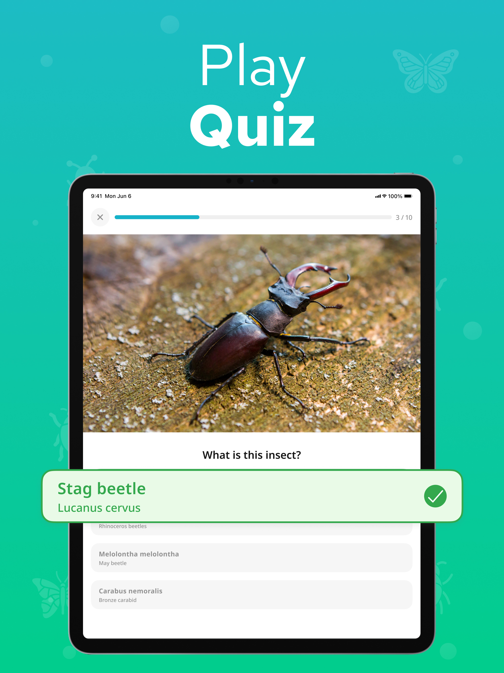 Bug Identifier - Insectium screenshot 15