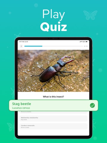 Bug Identifier - Insectium iPad screenshot