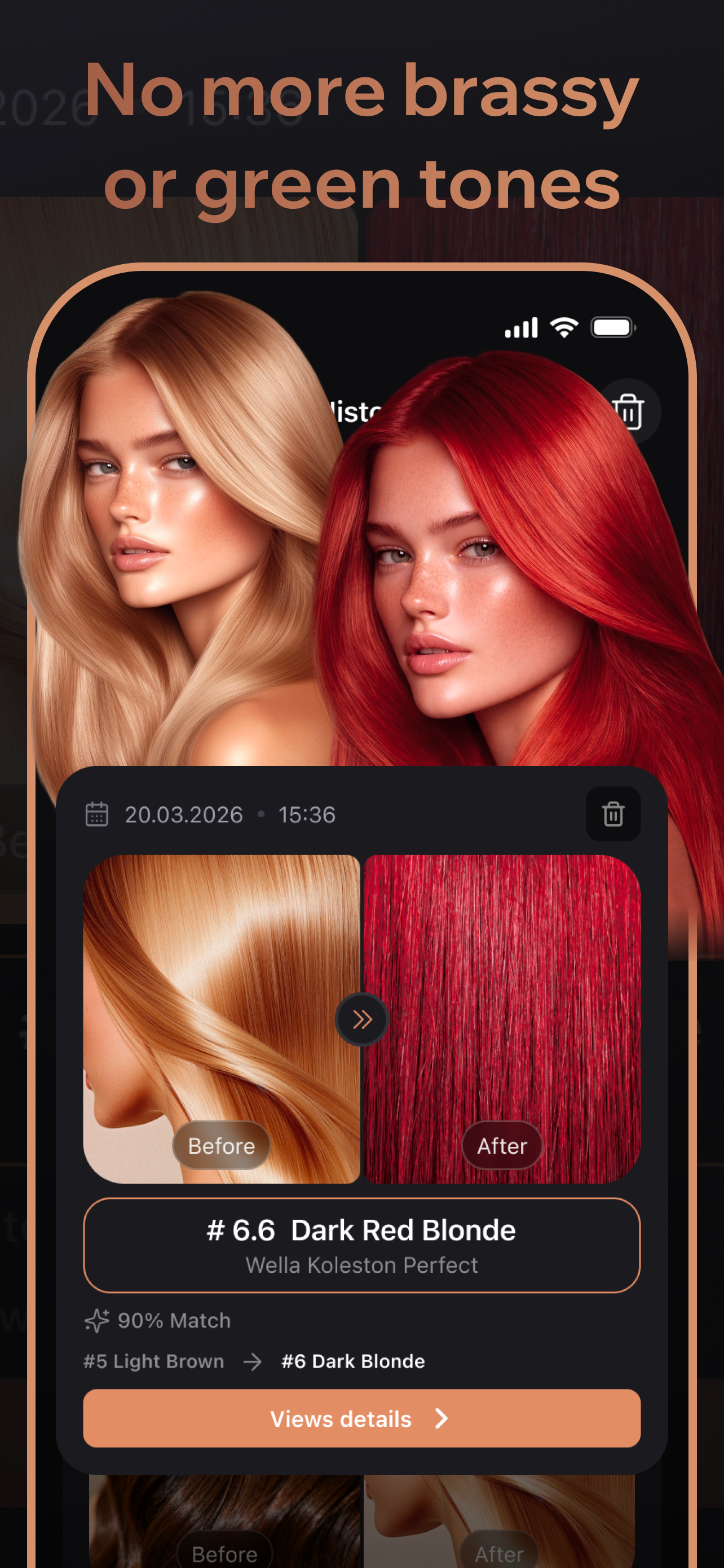 Hair Dye Selection