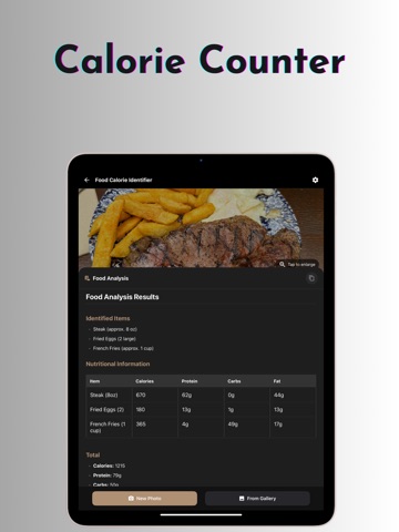 OneAGI : AGI for Everyone iPad screenshot