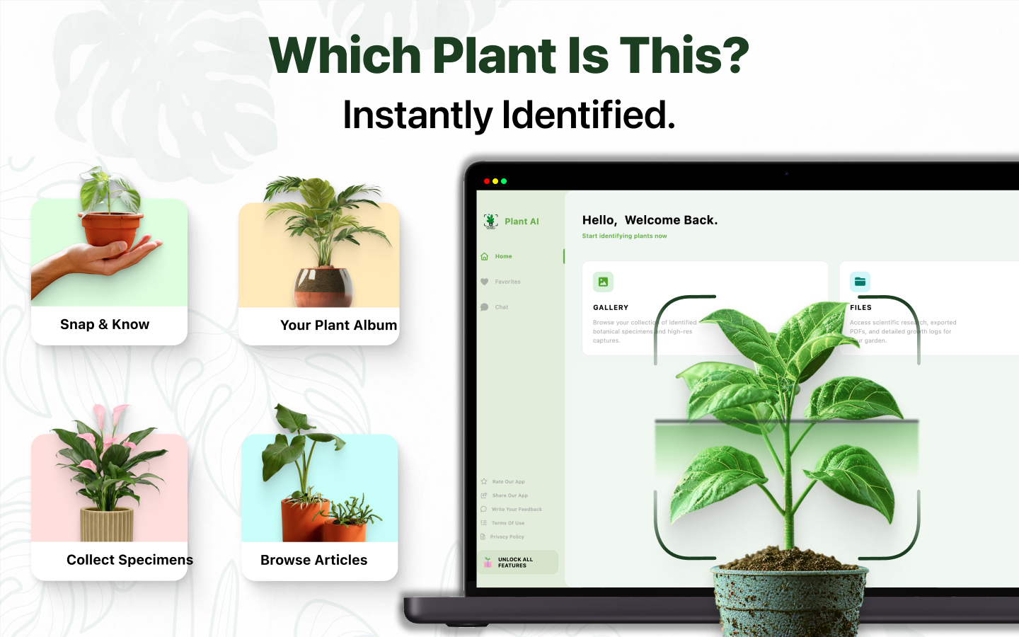 AI Plant Identifier - Plantips screenshot 13