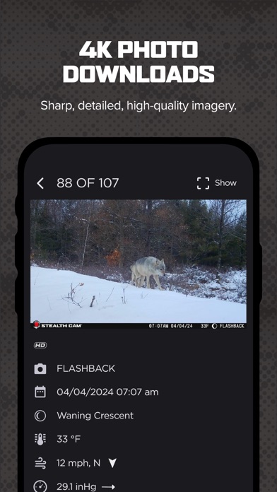 -COMMAND- screenshot