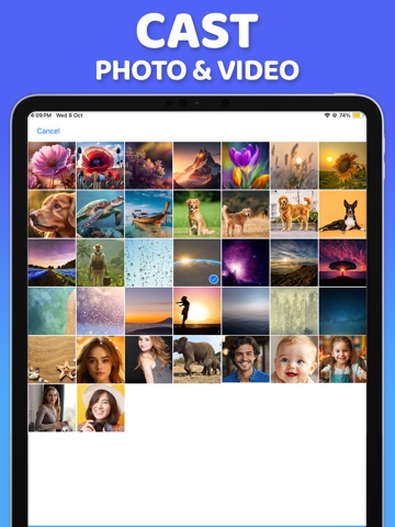 Screen Mirroring: Cast SmartTV iPad screenshot