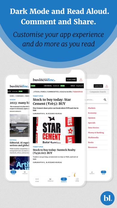 The Hindu Businessline News Screenshot