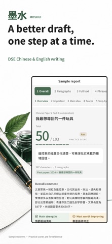 Moshui: DSE Essay Feedback screenshot 1