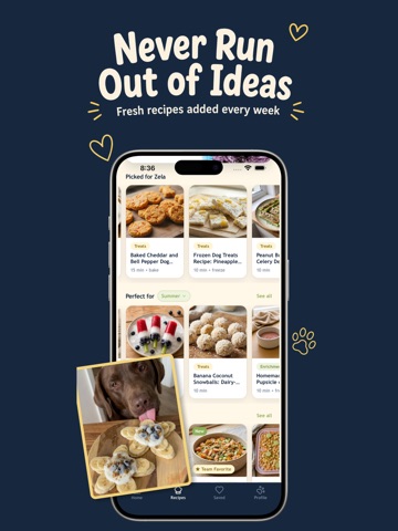 WellWhisker: Dog & Cat Recipes iPad screenshot