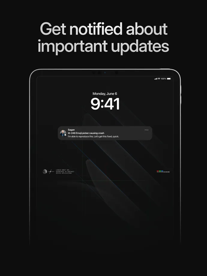 Linear iPad screenshot 4