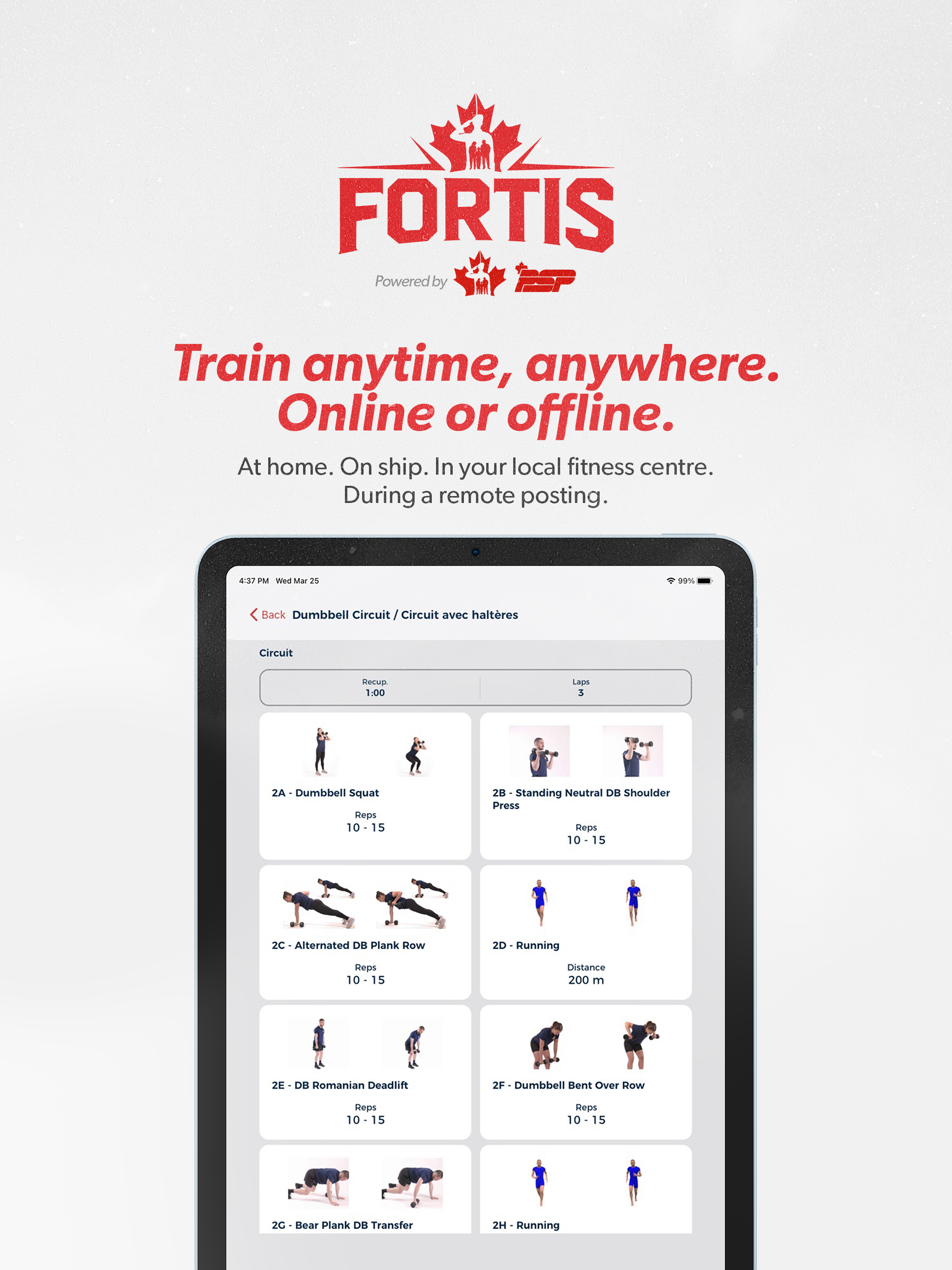 Fortis screenshot 7