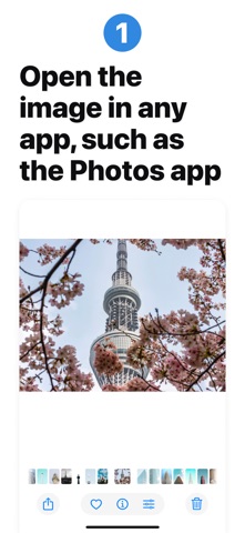 Reverse Image Search: Eye Lens Screenshot 7 of 9