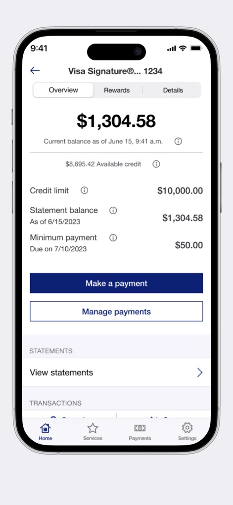 Elan Credit Card - The app presents a detailed breakdown of credit limits and current statement balances, making account tracking simple.