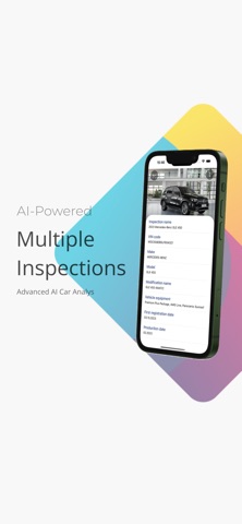 InspectInfo screenshot