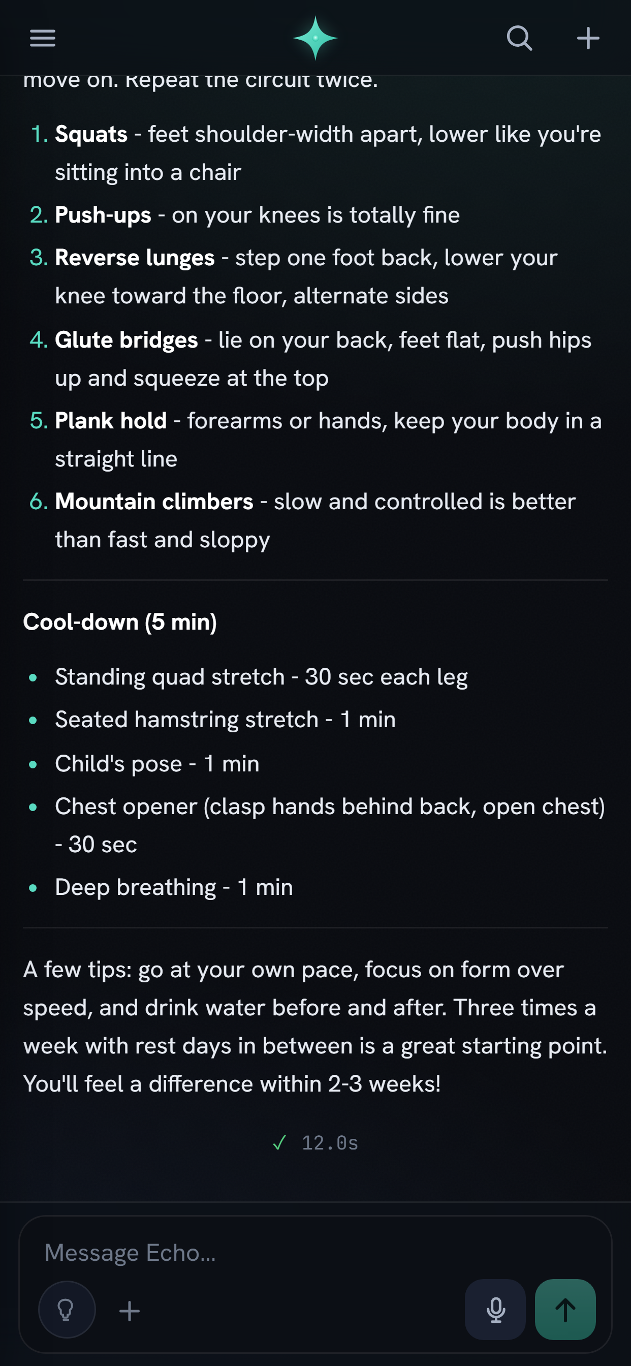 Echo by SH Tech screenshot 7
