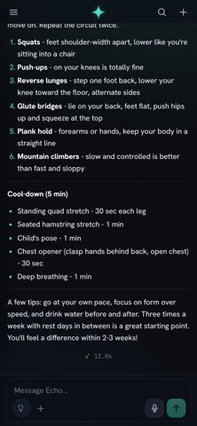 Echo by SH Tech screenshot