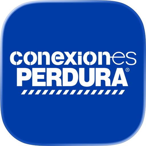 Conexiones Perdura