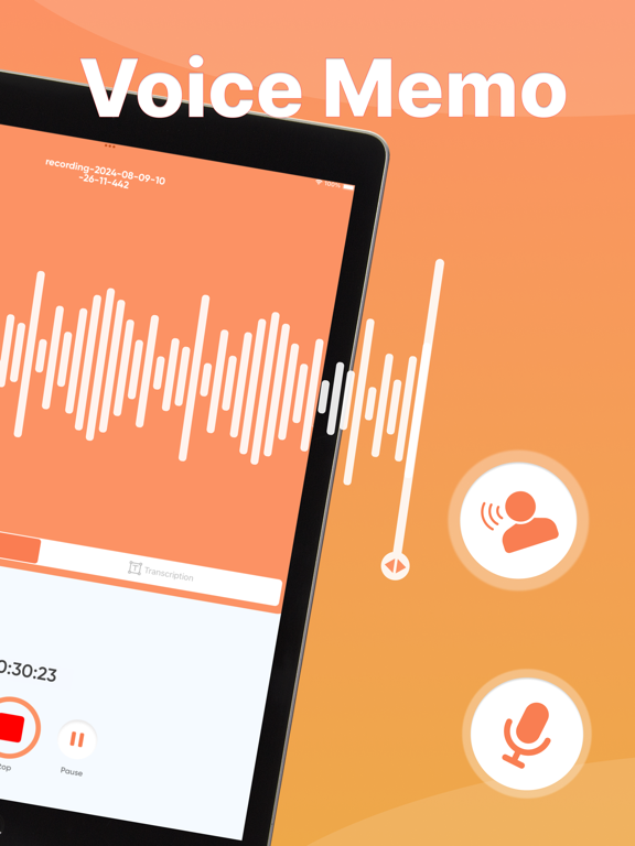 Voice Recorder - Memos Record iPad screenshot 1 - Utilities app
