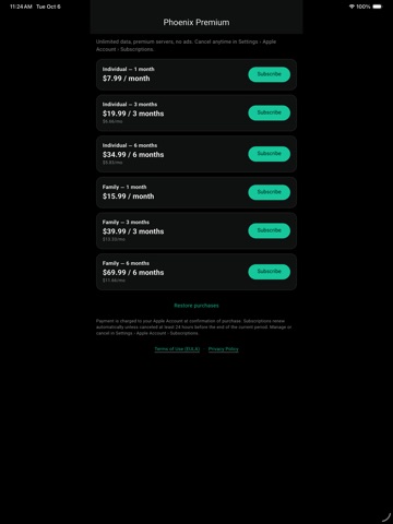 PhoeniX VPN iPad screenshot