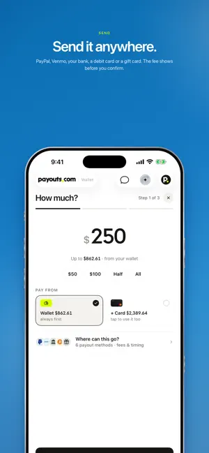Payouts.com screenshot 3