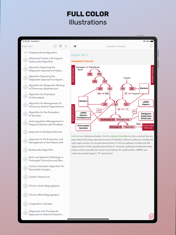 Screenshot #6 pour Washington Manual Medical Ther