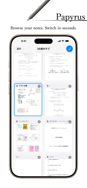 Papyrus - notes, PDF screenshot 2