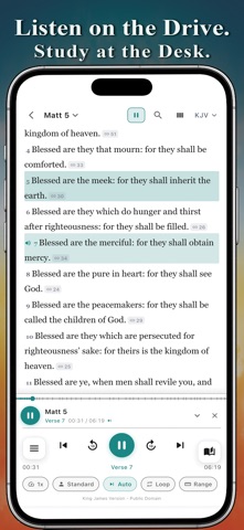 VerseWise: Bible Study & Audio Screenshot 9 of 10