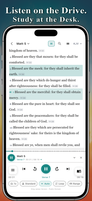 VerseWise: Bible Study & Audio Screenshot 9 of 10