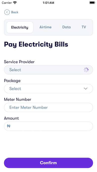 Kasham: Send Money Screenshot