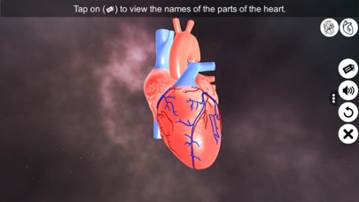 Screenshot #1 pour Heart - An incredible pump