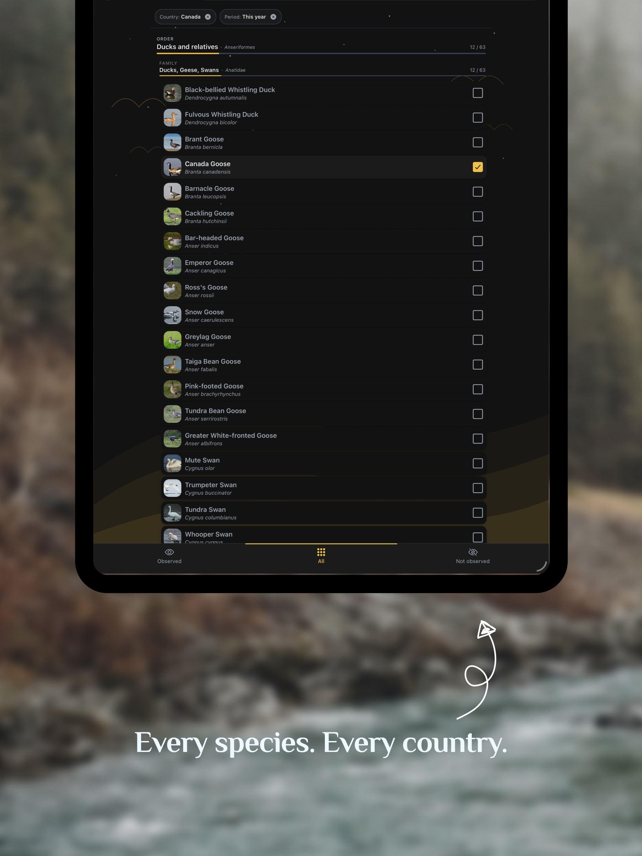 DiBird – Bird Watching Journal