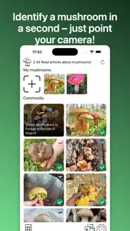 Sopp - Identifikasjonsguide iphone bilder 1