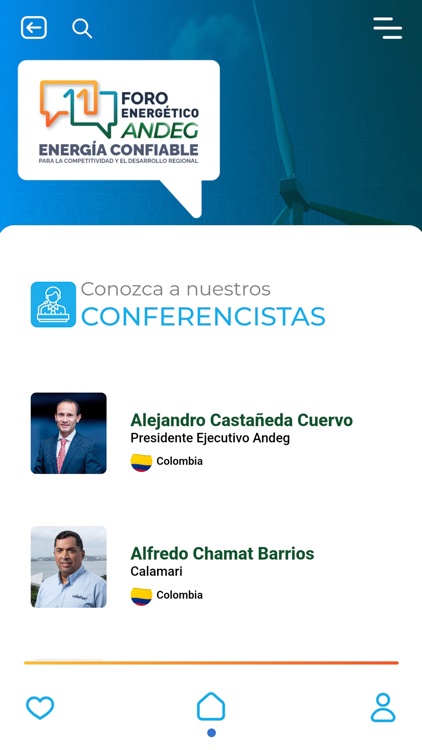 Foro Energético ANDEG screenshot-6