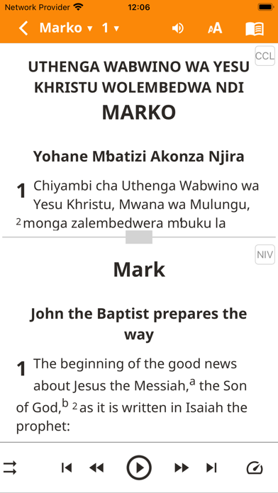 Screenshot #3 pour Chichewa Bible