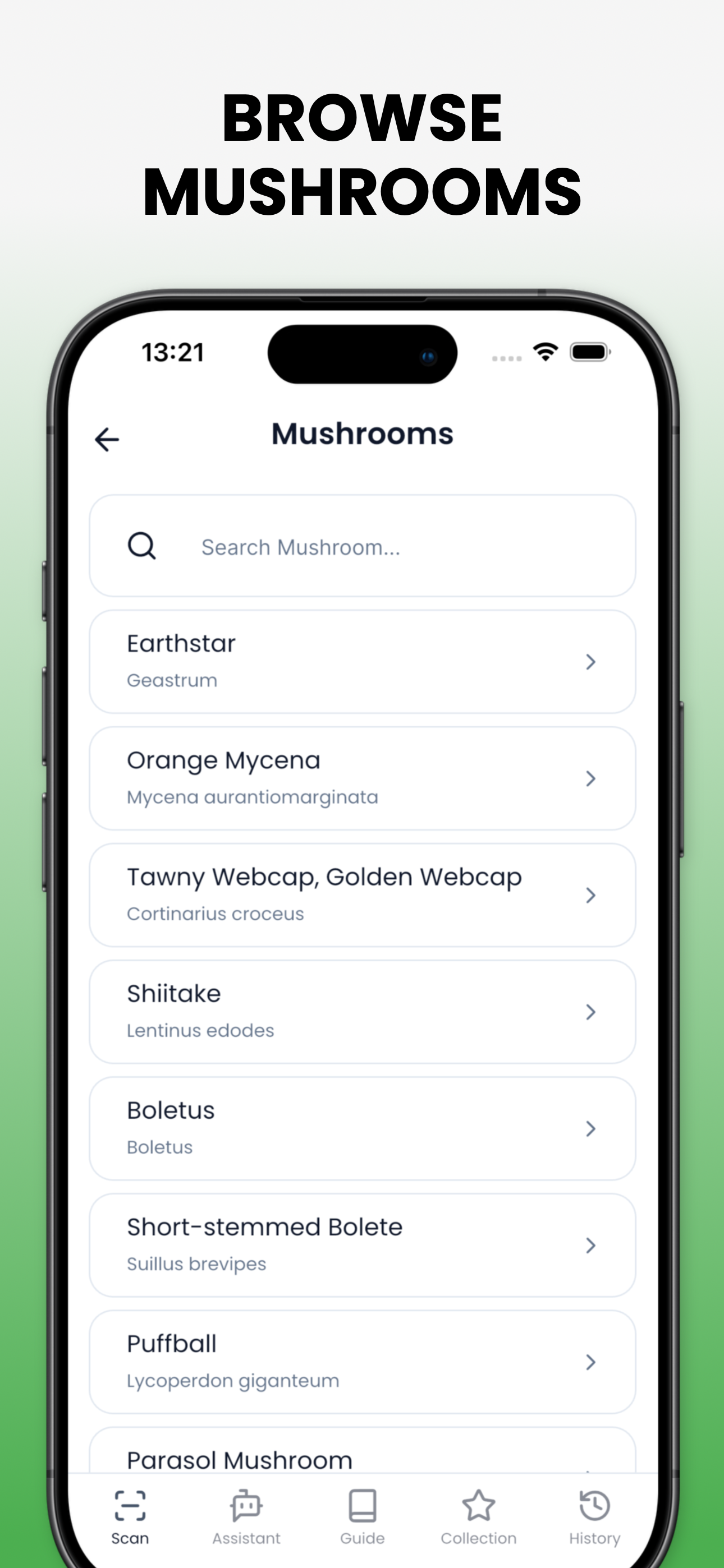 Mushroom Identifier - Mushby