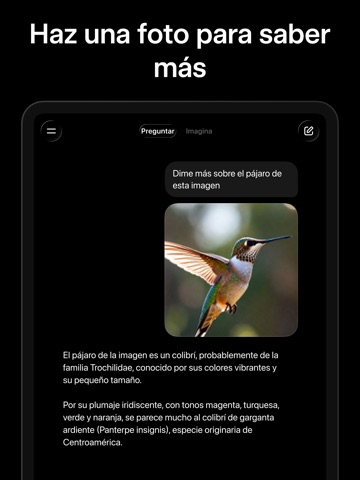Grok - Asistente de IA App Store preview screenshot 13