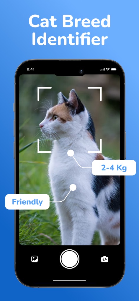 Cat Breed Identifier: Pet Scan - App de Utilidades | MWM