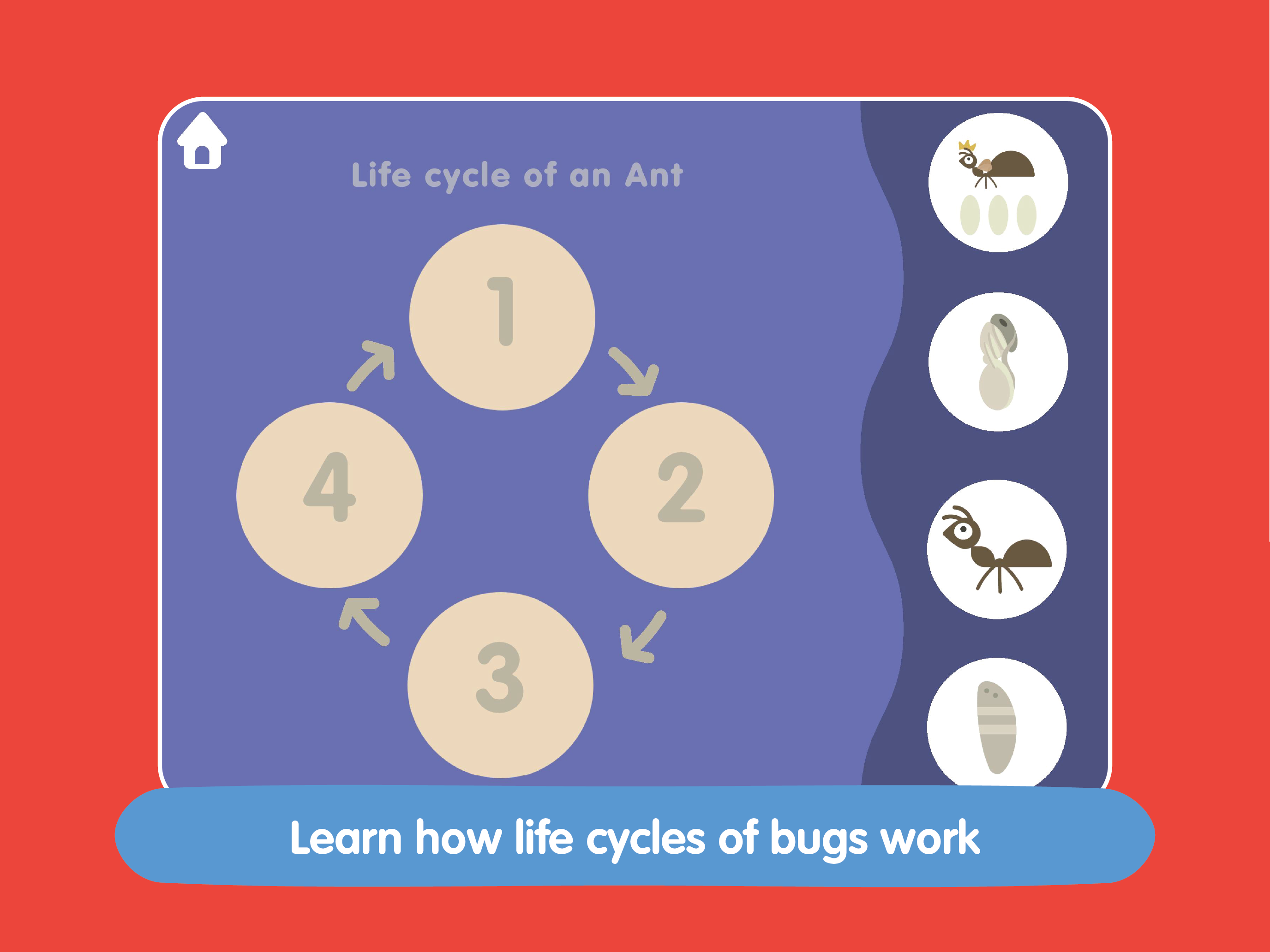 Insects and Bugs for kids screenshot 15