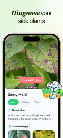 Flora - Plant ID & Diagnosis iPhone screenshot