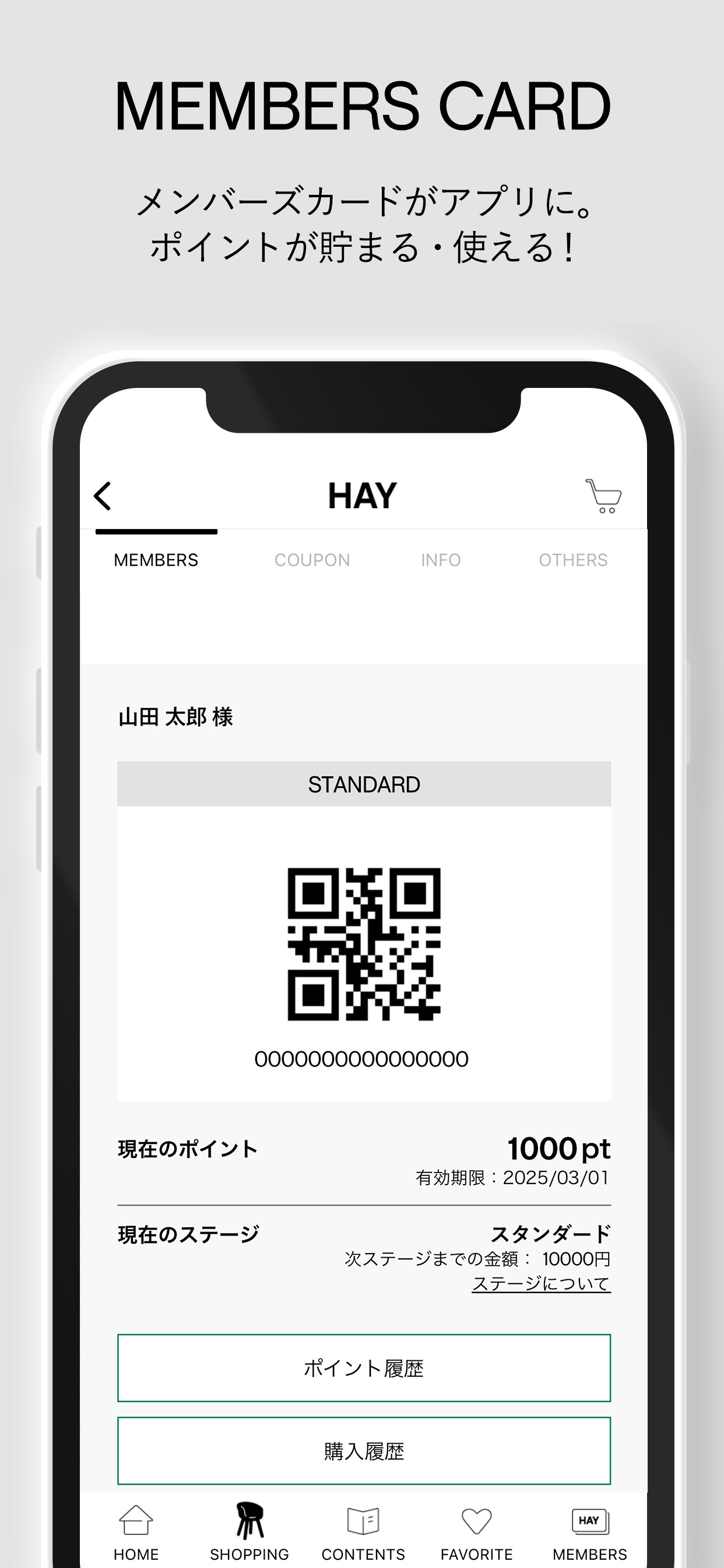 HAY - ヘイ screenshot 3