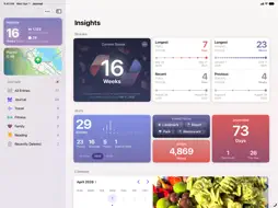 Journal screenshot 16