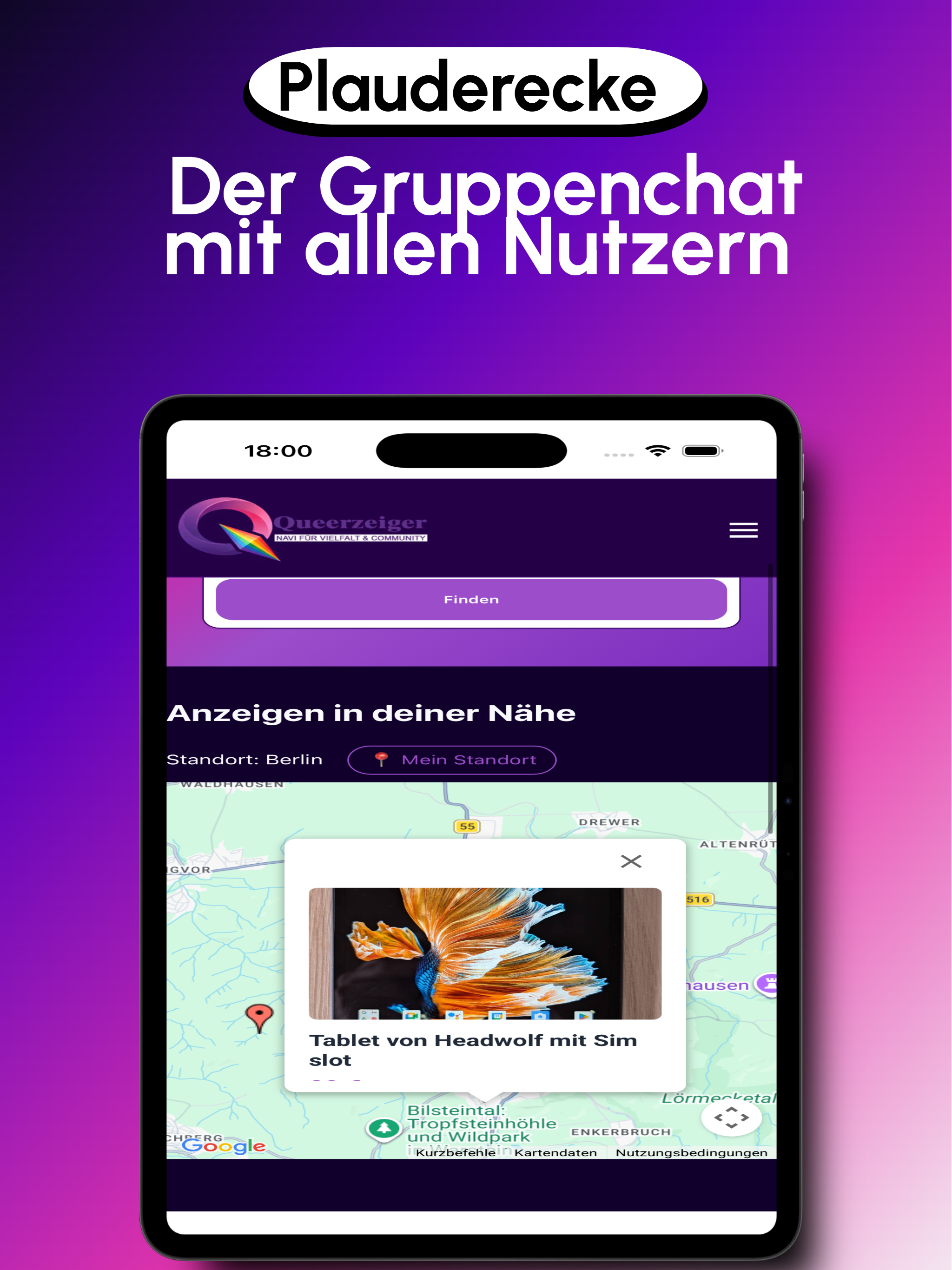 Queerzeiger