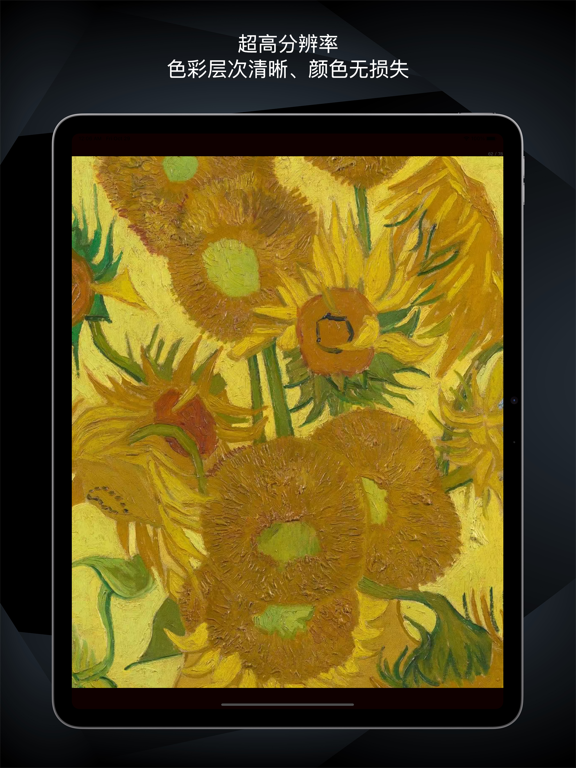 Collection of Van Gogh iPad screenshot 5 - Reference app